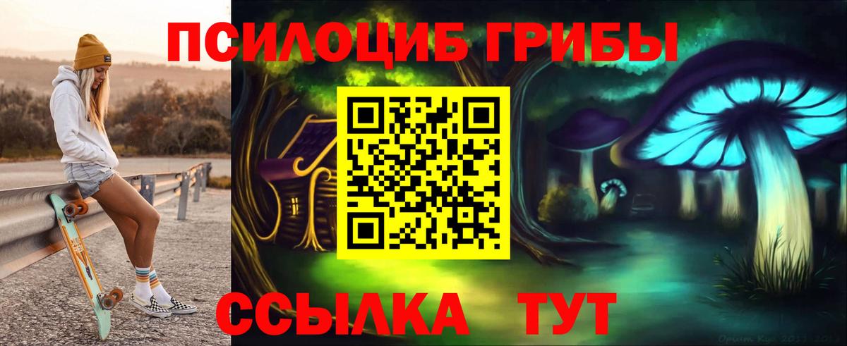 Сертолово  Галлюциногенные грибы мицелий  купить  цена  Вход с VPN 