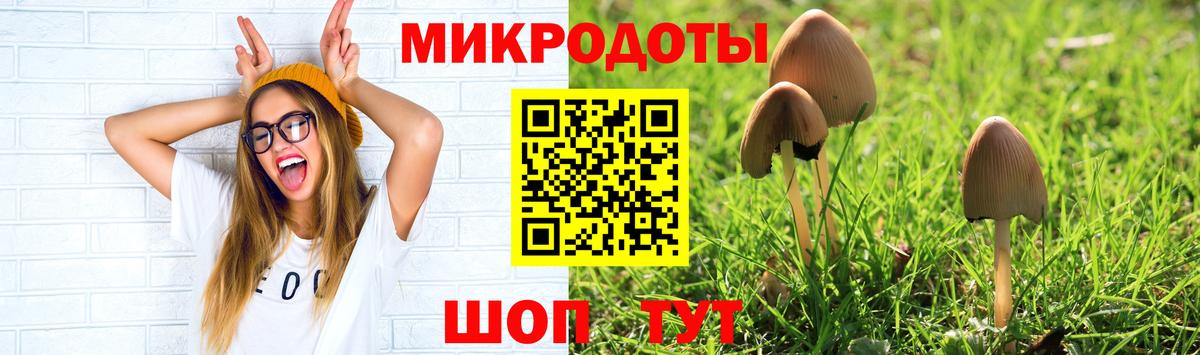 Псилоцибиновые грибы Psilocybine cubensis Сертолово